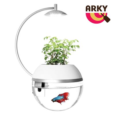 ARKY 香草與魚Herb&Fish Ｘ