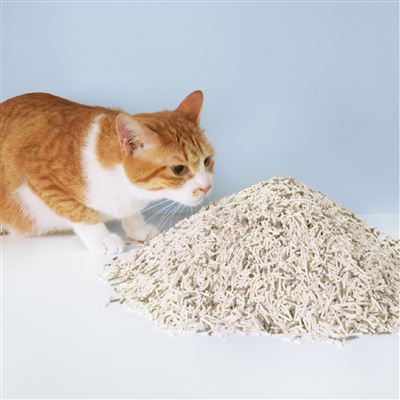 https://711go.7-11.com.tw/Files/market/263794/image/MAI_113419191_X400X400.jpg