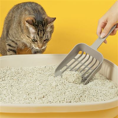 https://711go.7-11.com.tw/Files/market/263800/image/MAI_173453749_X400X400.jpg