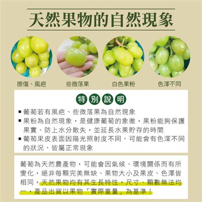 https://711go.7-11.com.tw/Files/market/277056/image/MAI_113918272_X400X400.jpg