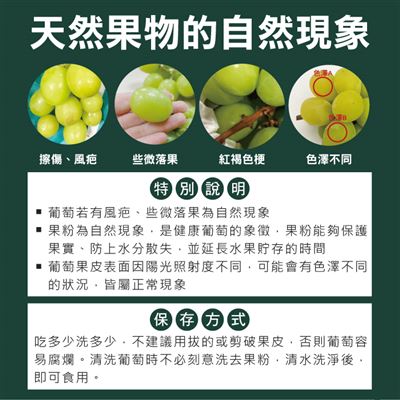 https://711go.7-11.com.tw/Files/market/283355/image/MAI_181403969_X400X400.jpg