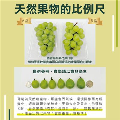 https://711go.7-11.com.tw/Files/market/283355/image/MAI_181408673_X400X400.jpg
